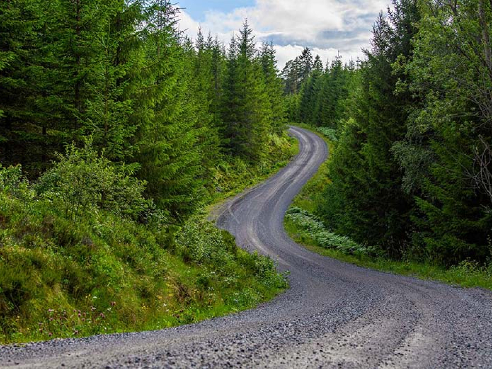 Gravel road in Sweden