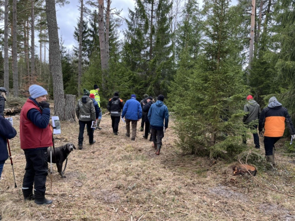 rapport-fran-falttraffarna-2